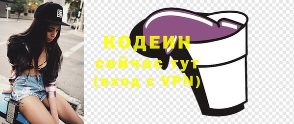 индика Абинск