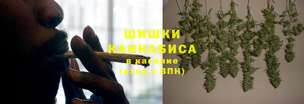 ПСИЛОЦИБИНОВЫЕ ГРИБЫ Абаза