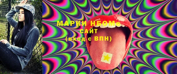 крисы Сатка
