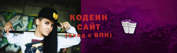 ECSTASY Алзамай