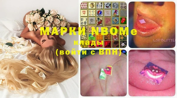 индика Абинск
