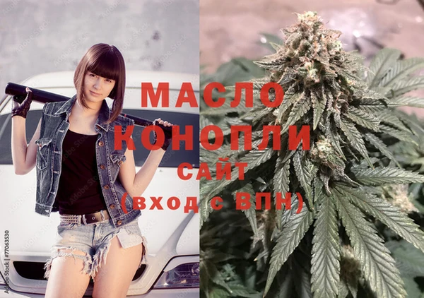 индика Абинск