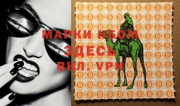 индика Абинск
