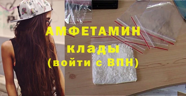 ECSTASY Алзамай