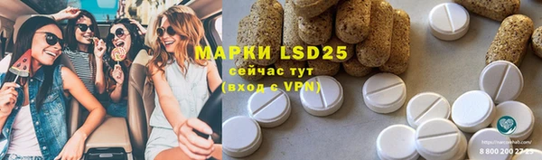 индика Абинск