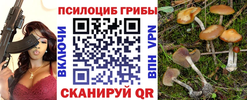 Галлюциногенные грибы MAGIC MUSHROOMS  Задонск 